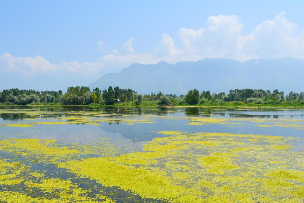 Kings Houseboats Hotel Srinagar  Exterior photo
